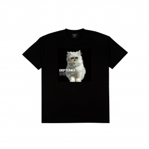 Футболка CATS AND METAL «Deftones Diamond Eyes»